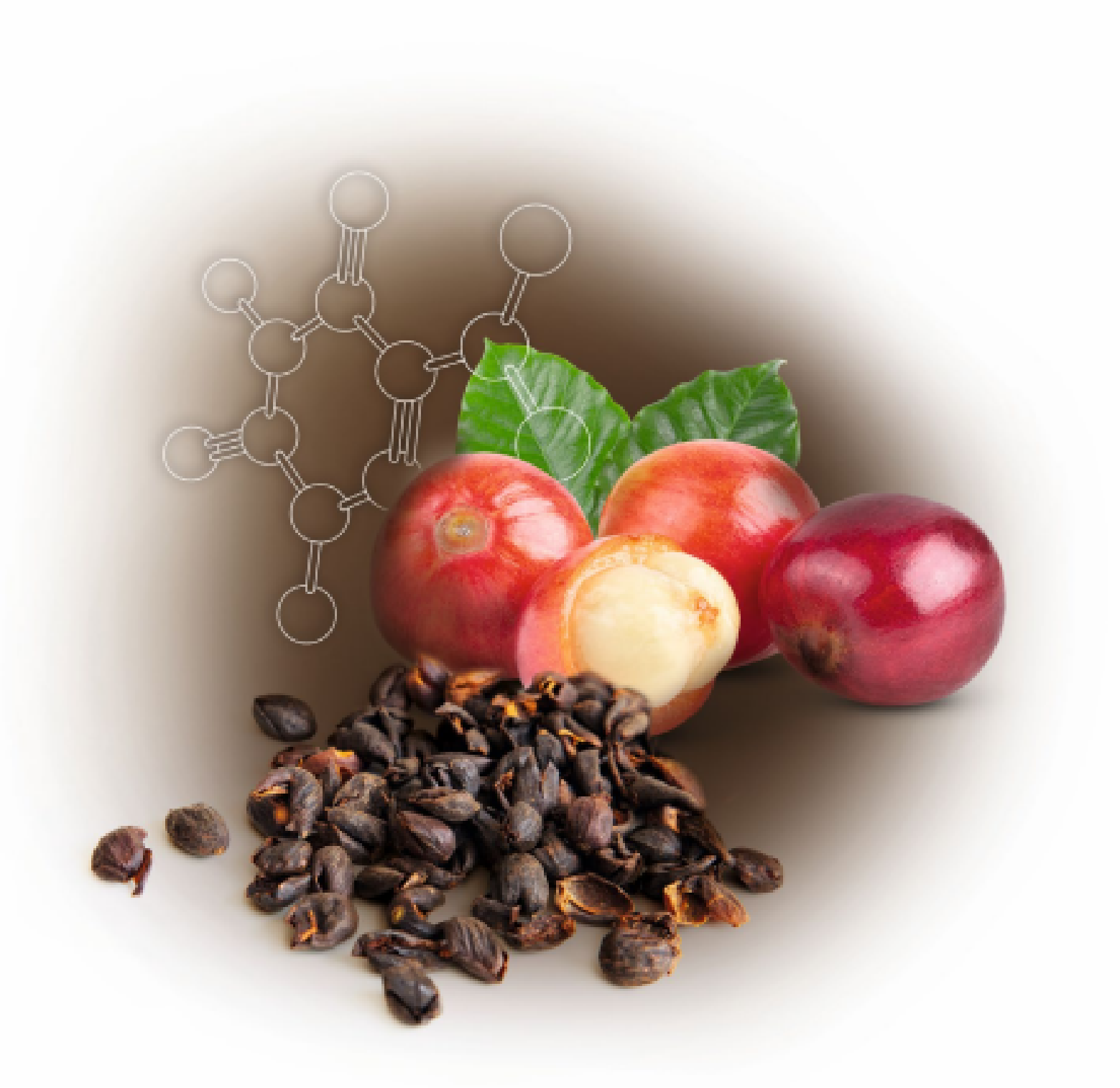 Cascara Pro.png Cascara Pro.png